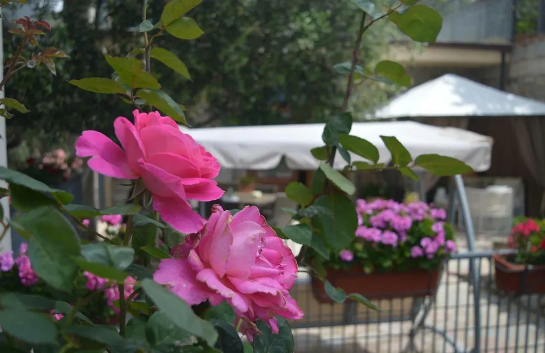 B&B Nonna Valentina-1