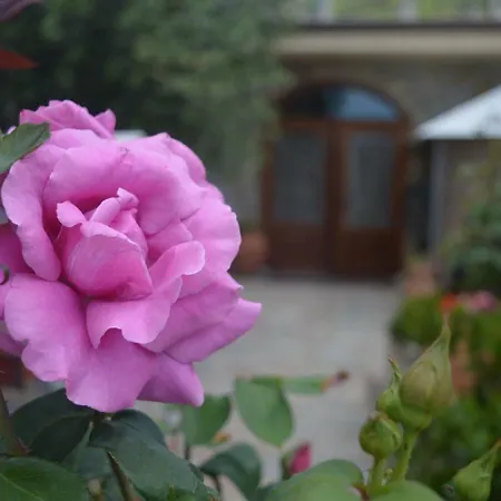 B&B Nonna Valentina-3
